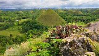 Tour Bohol Philippines  See the tourist attractions of Bohol [upl. by Annia578]