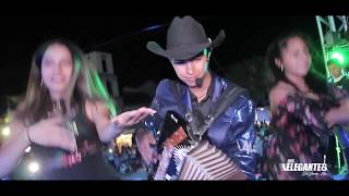 Los Elegantes de Jerez  Huapango el Pasito de Su Tin 🤠 Vídeo Oficial 2018 [upl. by Anaujik]