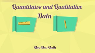 Qualitative and Quantitative Data [upl. by Iru]