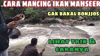 CARA MANCING IKAN MAHSEER [upl. by Oika]