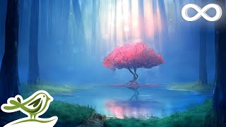 Deep Relaxing Music • Meditation Music Sleep Music Ambient Music [upl. by Akirre]