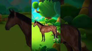 Domestic Animals  Rapid Kids TV Trailer Short [upl. by Pell]