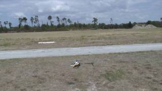 TRex 450 Pro Test Flying [upl. by Powe]