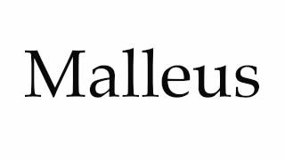 How to Pronounce Malleus [upl. by Herra]