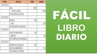 El Libro Diario  Contabilidad [upl. by Ribal]