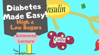 HYPER amp HYPOGLYCAEMIA Diabetes simply explained [upl. by Willa745]