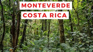 See the AMAZING Monteverde Cloud Forest in Costa Rica [upl. by Ripp]