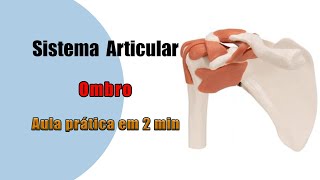 Articulação do ombro e seus Ligamentos  Anatomia Humana  Anatomia [upl. by Salokcin]