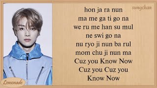 NCT U  Know Now Easy Lyrics [upl. by Airdnazxela18]