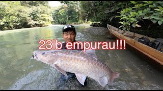 wild mahseer fishing Kalimantan [upl. by Cardinal]