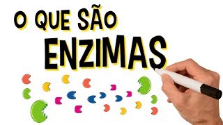 ✅ O QUE SÃO ENZIMAS [upl. by Notnirt]