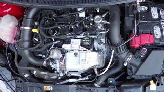 Ford 10L Ecoboost 3Cylinder startup and revving [upl. by Morra986]