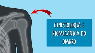 Cinesiologia e biomecânica do ombro [upl. by Nelyt]