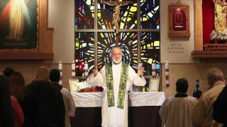 Sacraments 101 Holy Orders what ordination means [upl. by Alram]