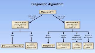 Hypercalcemia [upl. by Carolin]