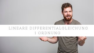 Lineare Differentialgleichung DGL 1 Ordnung  Einfach erklärt [upl. by Tressa513]