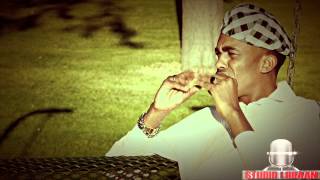 DALMAR YARE 2013 WAAN IMANAYAA OFFICIAL VIDEO DIRECTED BY STUDIO LIIBAAN [upl. by Hun]