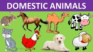 DOMESTIC ANIMALS  PET ANIMALS  FARM ANIMALS  CARE FOR ANIMALS  SCIENCE VIDEO FOR KIDS [upl. by Leal307]