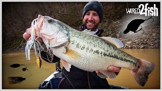 Bass Fishing After a Rain HUGE BASS on EARLY SPRING RUNOFF [upl. by Kcoj]