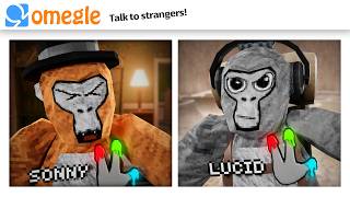 OMEGLE Trolling in Gorilla Tag [upl. by Eiralam209]