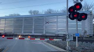 CSX Train Spotting  Louisville KY [upl. by Orestes362]