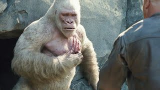 HINDI George Kill Bear Scene  Rampage 2018 Movie Clip [upl. by Ruelu]