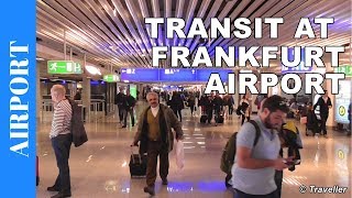 TRANSIT WALK AT FRANKFURT Airport FRA Terminal 1  Connection Flight Transfer Arriving amp Departing [upl. by Anawit]