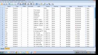 SPSS Codebook [upl. by Chil]