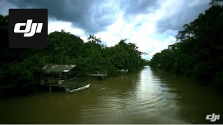 DJIThe life of Amazon Rain Forest [upl. by Yllil]