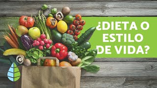 Diferencia entre VEGANO VEGETARIANO y CRUDIVEGANO [upl. by Ttenneb]