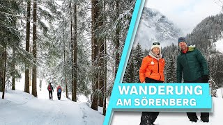 Wandern am Sörenberg [upl. by Orofselet612]