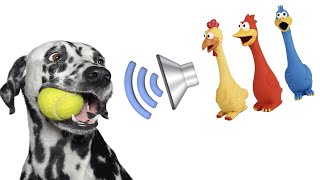 Dog Squeaky Toy  Sounds that attract your dogs attention HQ [upl. by Ericka]