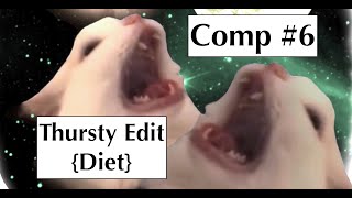 DIET Thurston Shrimpcomp 6 [upl. by Ahtnamys]